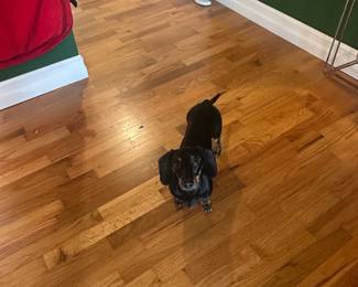 Miller- the worst employee ever!