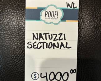 Natuzzi Sectional
