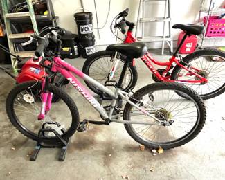 114. Nishiki Pueblo Bike 024
115. Cimarron Bike 5430