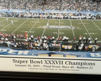 102. Super Bowl Champions (42" x 16")
