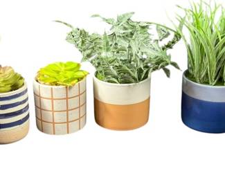 Faux Potted Plants 
