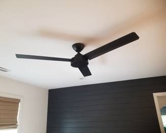 MinkaAire ceiling fan