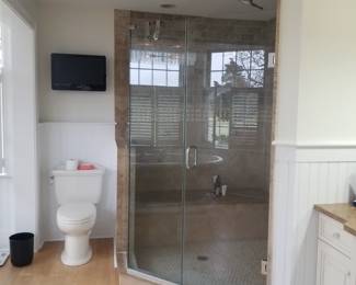 Glass shower door
