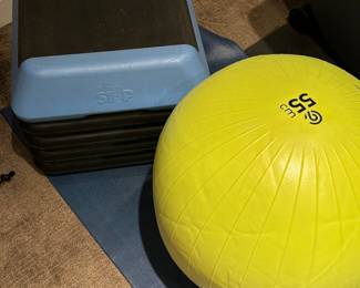 Step up and exercise balance ball
