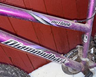 Outlook Diamondback Bike!