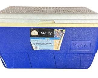 Blue 48 Quart Igloo Cooler