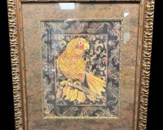 Framed Golden Parrot Print