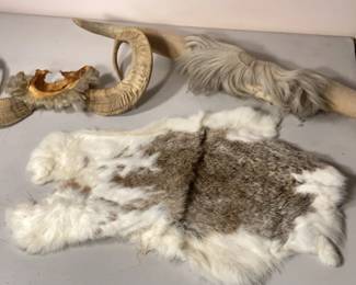 animal skin and relics