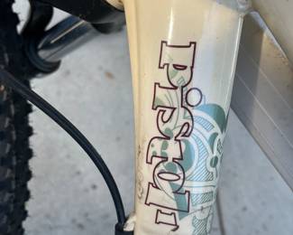 Pistol 1 Mountain Bike