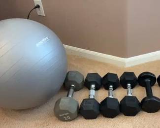 Hex Dumbbells With Exercise Ball Fitbit