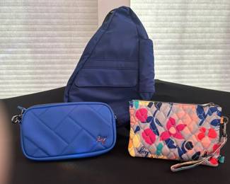 A Healthy Back Bag 2 Lug Bags