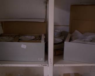 MORE OF THE JOHANN HAVILAND CHINA--STILL IN THE BOXES!