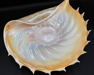 Large Art Glass Shell Shaped Bowl