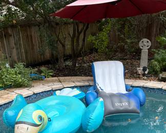 Pool Floaties
