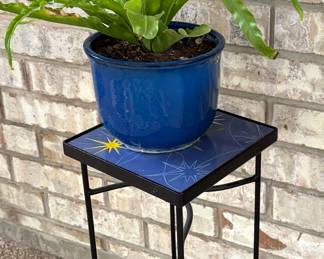 Plant stands, Plants