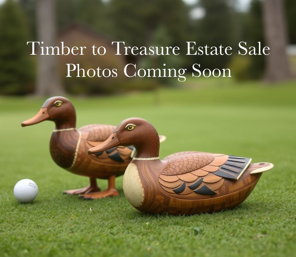 Timber to Treasure Preview photo