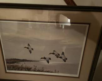 Canvasbacks on the Bay Lithograph - Eckleberry 