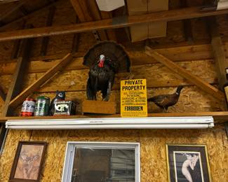 Mounted Turkey, Pheasant and Hunting Sign