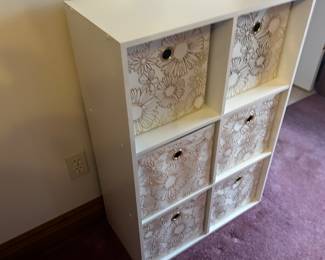 Storage Bins and Shelves