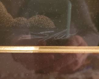 Artists signature [in the plate]