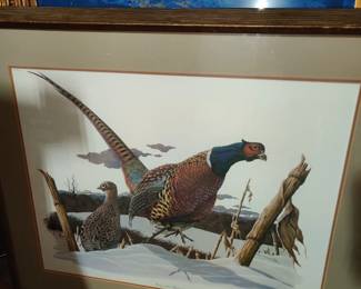 [Ring necked Pheasant] by Richard Sloan/framed