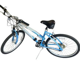 Schwinn Cimarron ProMax Bike