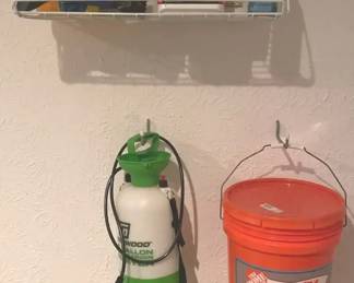 Ortho, Rainx, And More