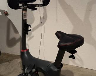 Schwinn 170 Exercise Stationary Bike