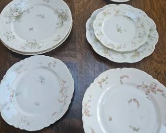 Various Haviland Limoges China