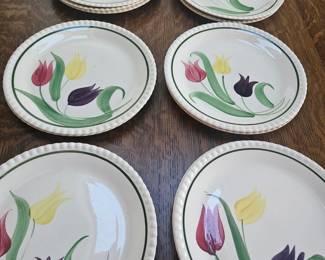 19 Blue Ridge Tulip Dinner plates+ smaller plates 