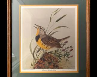 18 x19.5  Framed  Signed Eastern Meadow Lark Print