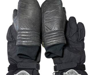 Harley Davidson Saddle Bag and Gloves