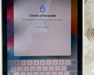 iPad with cellular capability