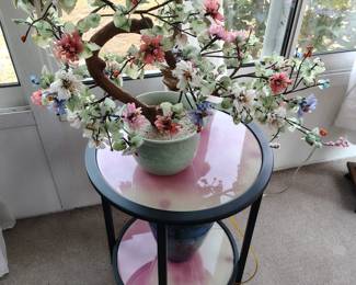 Huge jade bonsai tree