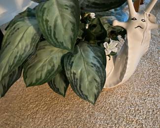 Ceramic Snail Planter