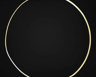 14k White Gold Omega Chain Necklace 6.47g