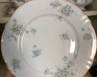 Theodore Haviland France