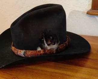 Resitol Cowboy Hat