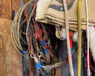 Beautiful Saddles and Tack: Saddles, Bridles, Reins and More!