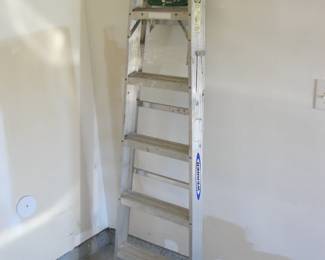 Folding Ladder