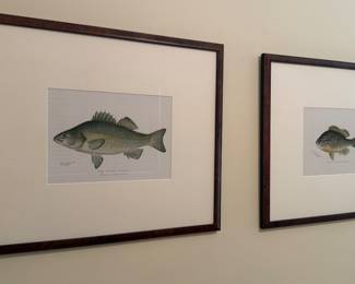 FISH ARTWORK