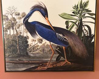 Great Big Canvas John James Audubon Louisiana Heron Stretched Canvas