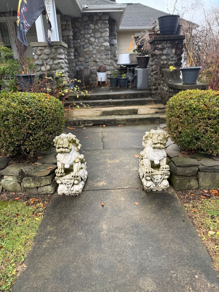 Hand carved Foo Dogs cost 13,000 best price gets them must go !!