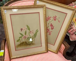 Pair Botanical Prints