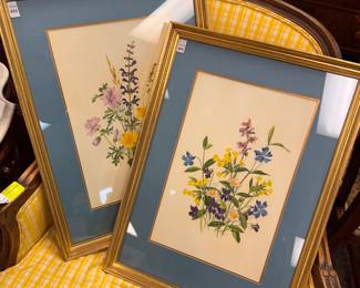 Pair Botanical Prints