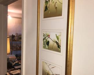 Items Located In Central Hallway