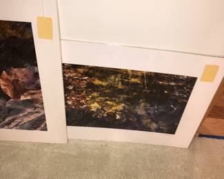 Items Located In Living Room