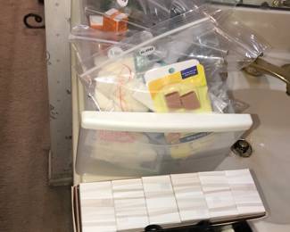 Items Located In 1st Bedroom (MASTER) Bathroom