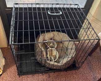 small dog crate