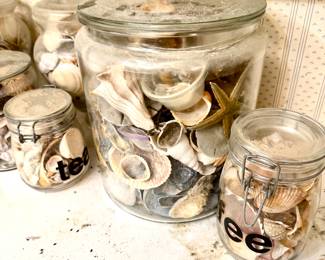 SHELLS